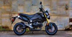 The small 125cc Honda Grom is currently very popular as it has a sporty frame and is very easy to ride for newbies or experienced folks. However, the current COE prices probably just killed it in the SG market.